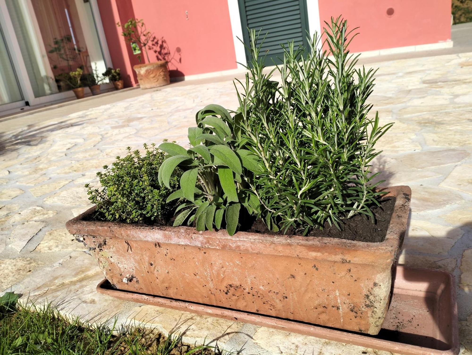 Villetta Fedora Immersa Nel Verde Cecina  Buitenkant foto