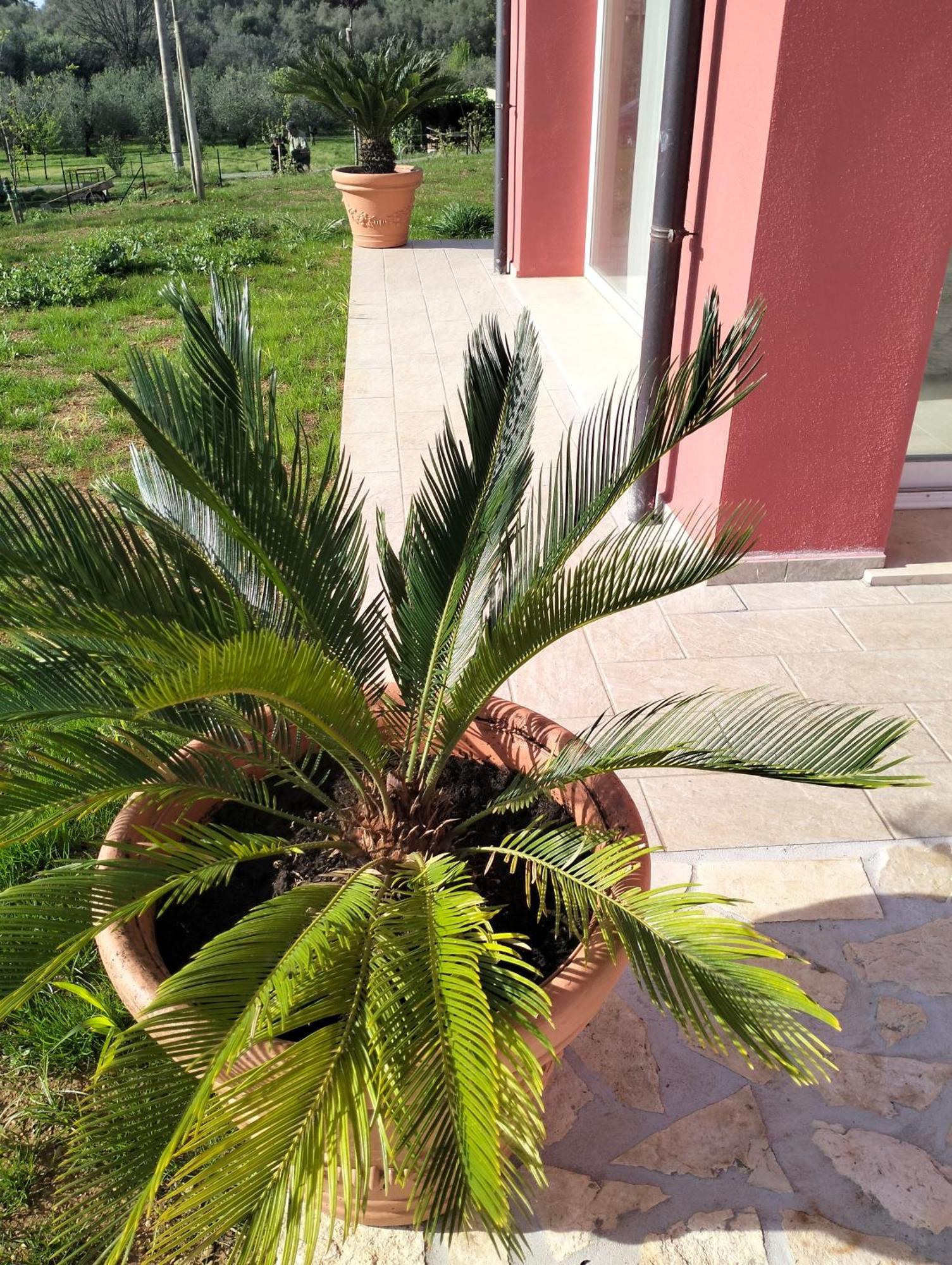 Villetta Fedora Immersa Nel Verde Cecina  Buitenkant foto